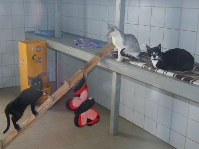 schronisko _lublin_15.jpg